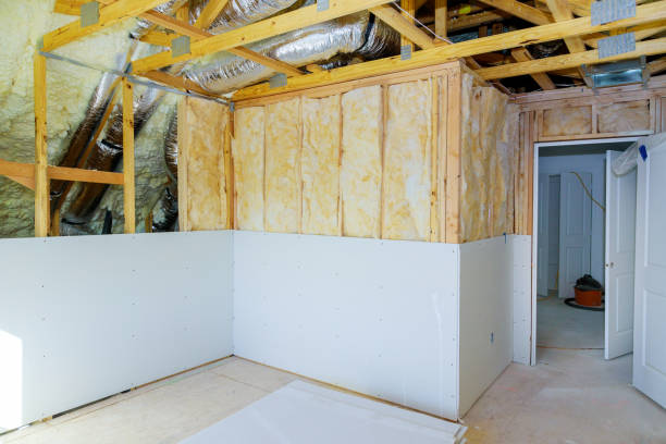 Best Geographic-Specific Insulation Services in Franklin Park, FL