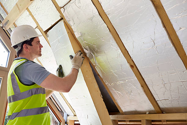 Best Spray Foam Insulation in Franklin Park, FL